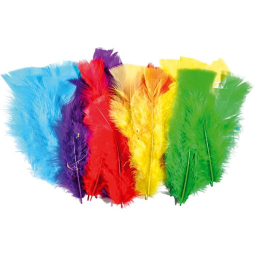 Picture of CRAFT FEATHERS ASSORTED COLOURS - 24 PACK